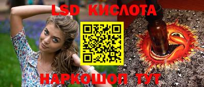 apvp Пугачёв