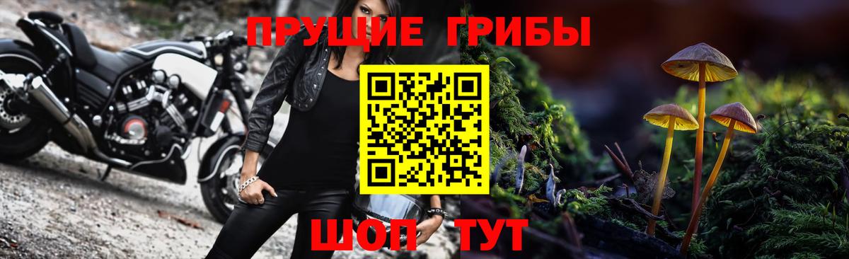 Галлюциногенные грибы прущие грибы  Вход с VPN  Новосибирск 